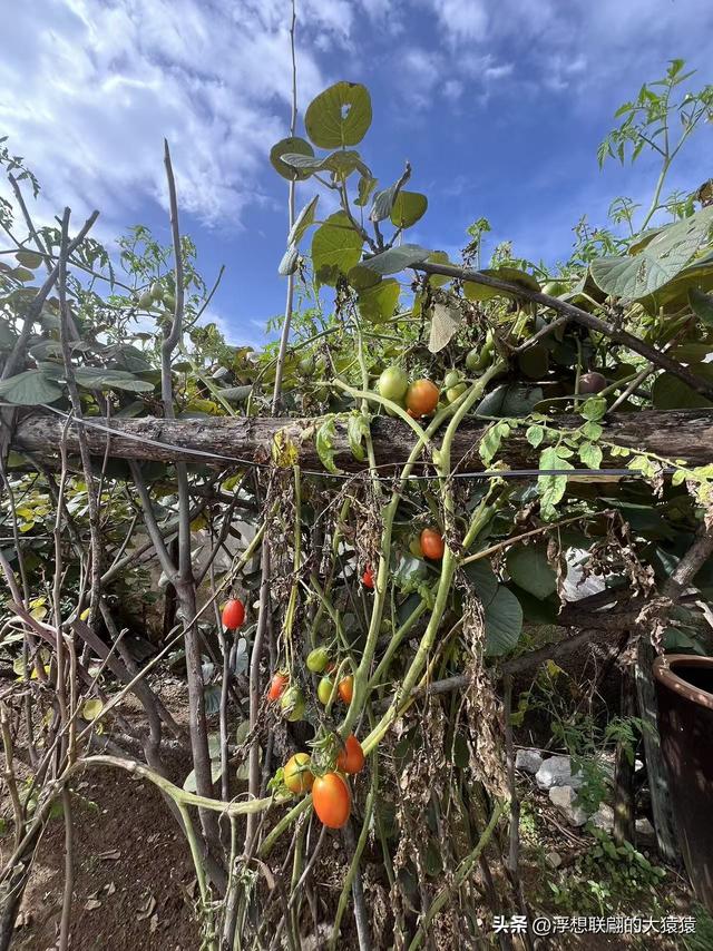 莱芜禹王山顶有座明初建立的古村：东平洲
