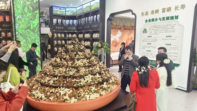 香飘邕城 浦北陈皮（南宁）文化体验馆启幕