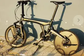 BROMPTON 小布c-line还是大行P8，优劣势对比，选择和改装都有用图片