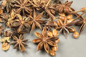 买八角，要看清“钩角”和“直角”，避免买到假货，假八角有毒图片