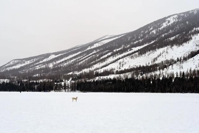 千万别在冬天去新疆！因为去了就回不来了……