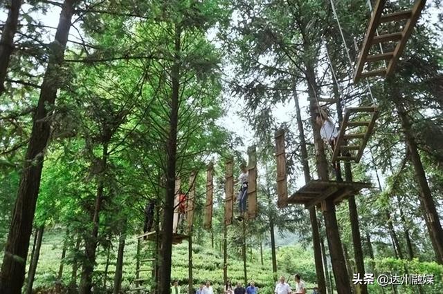 渠县元旦活动重磅来袭→快来开启2026快乐“渠”道！