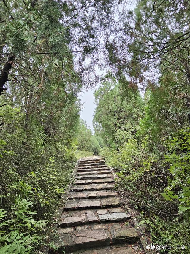 向大山出发，探索大山的奥秘，享受大山的氧吧，观赏大山的美景