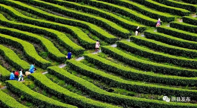 新晋打卡地！珙县这里上榜宜宾必去榜单→