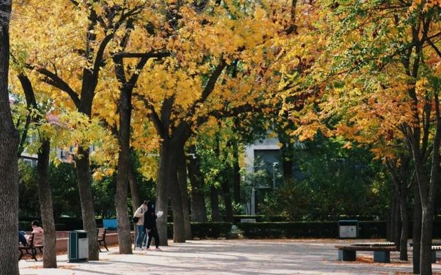 北京综合实力强的3所双非大学，首经贸第一，北工商第三