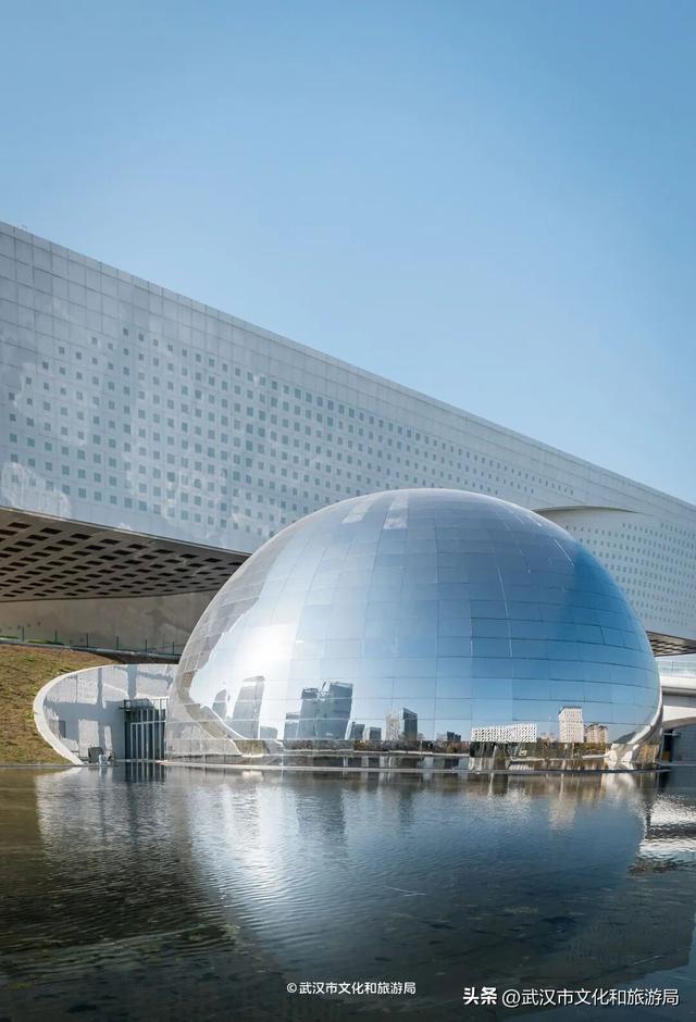 今天起免费预约，限时7天！