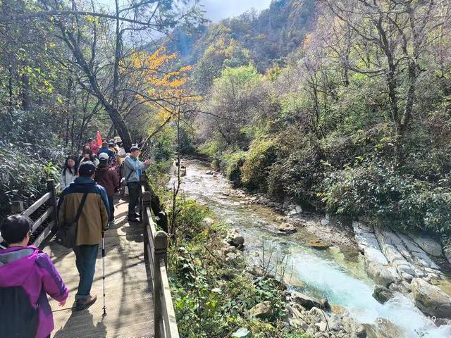 排队游览光雾山