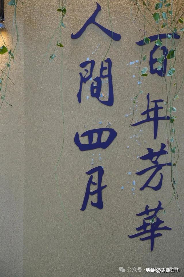 昆明秋日新晋打卡地｜藏不住的高颜值漫步地图