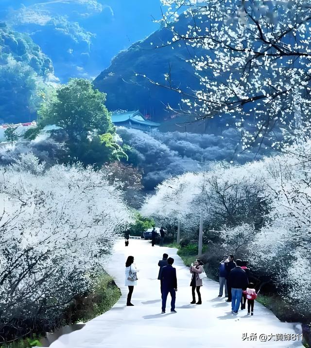认识大美广东的每个县——第20波：陆河