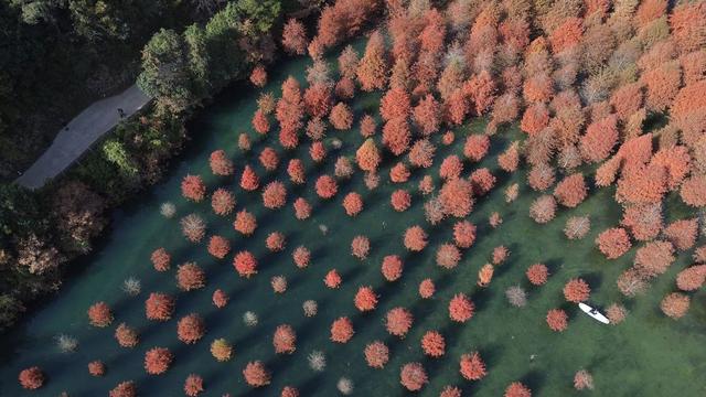 湖州换上初冬“限定皮肤”