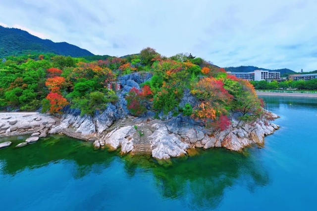 杭州秋冬的“多巴胺”美景来啦～