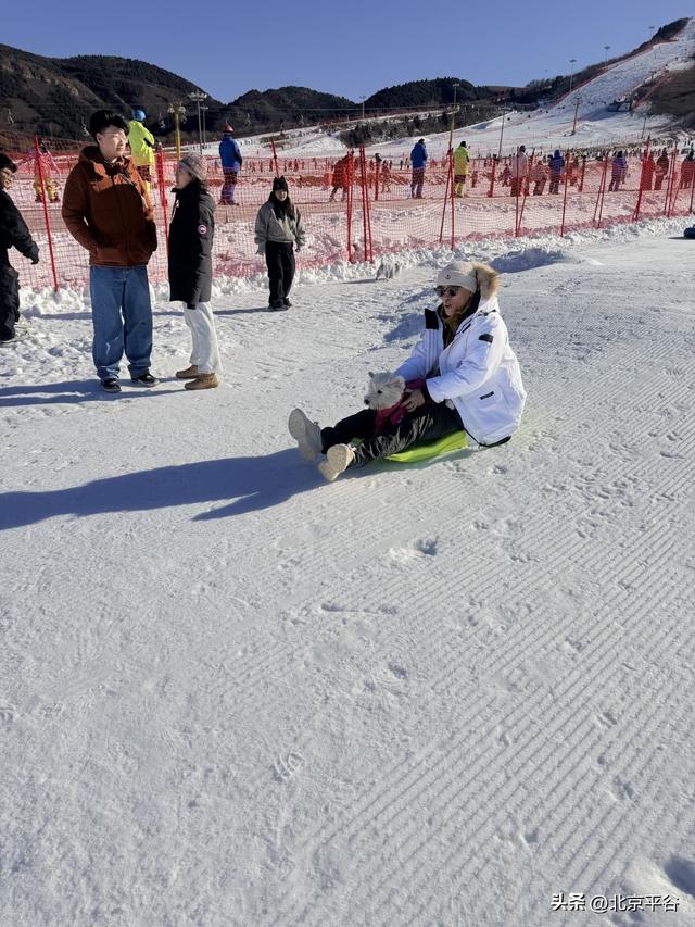 全域冰雪+萌宠逐雪+千万补贴平谷区第十七届冰雪季开幕 打造京津冀文旅休闲新地标