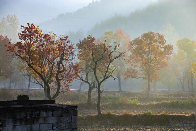 大别山中徐凤冲