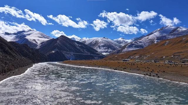 甘肃玛曲：流凌逐浪黄河岸冰花绽作雪域笺