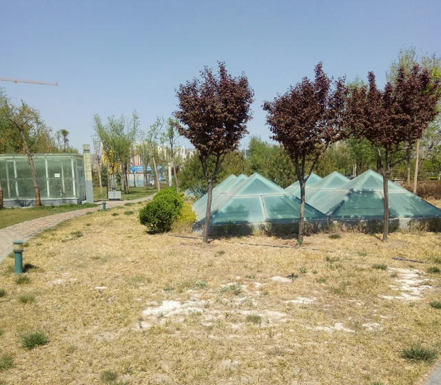 耗资三亿的华夏人文始祖园因占用黄河河道闲置10年，还能盘活吗？