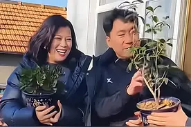 《乡村爱情18》开拍就卖关子，为王红梅举办完工仪式，角色成谜图片