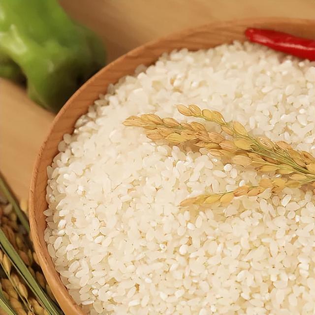 预告丨“沪派江南-复兴市集”开市啦！本周六一起来逛吃玩