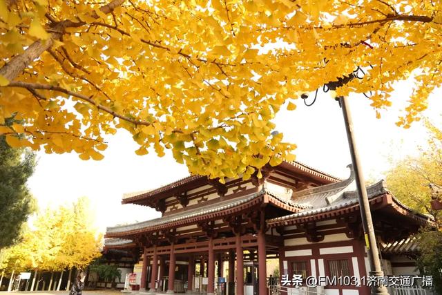 公园景区秋色图鉴，这几处必打卡