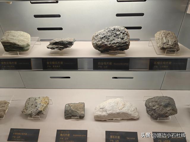 逛中国地质博物馆——一家好博物馆的暑期不佳体验