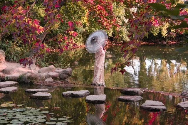 报！天平山红枫已进入变色期