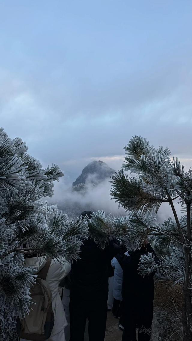 太子尖的第一场雾凇来了！接下来，杭州气温还会降……