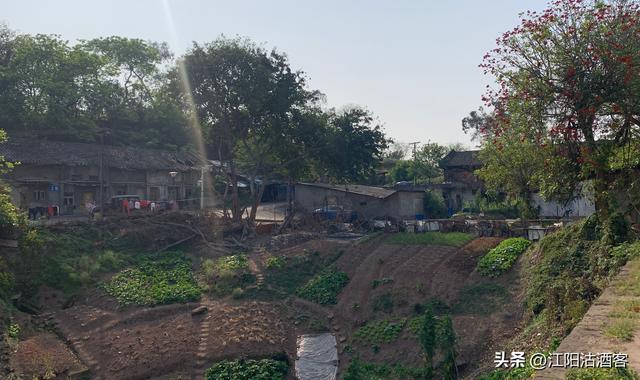 立马五峰天地小，群山俯首拜英雄，泸州小市五峰顶有历史