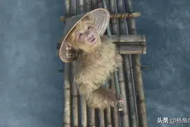 西游记：孙悟空下龙宫如履平地，为什么取经路上却成了只怕水猴？图片