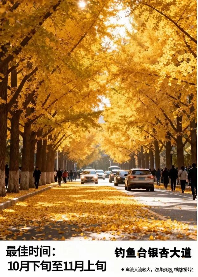老舍先生说过：北平之秋是天堂，北京的秋藏着最动人的美