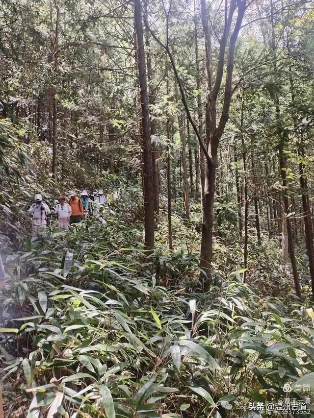 温州高山峡谷隐藏的小众秘境,驴友的瀑降宝藏地!雨后风光绝佳!