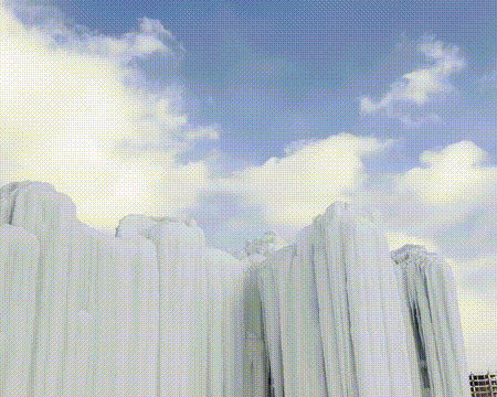 长春冰封玫瑰园美出圈！这才是冬日浪漫天花板