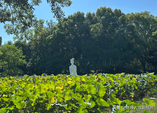 这个浙江“美人景点”着实抢眼，秋日中节目惊艳，可享受古越风情