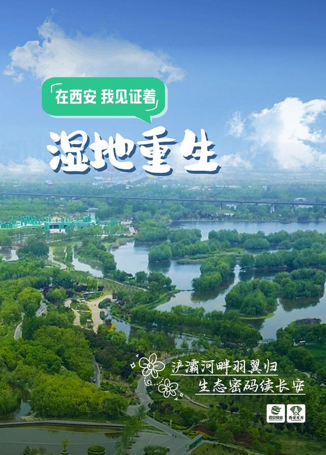 在西安，我发现了……