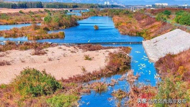 走不出这画了，我已被西海岸的秋景迷倒 🥹