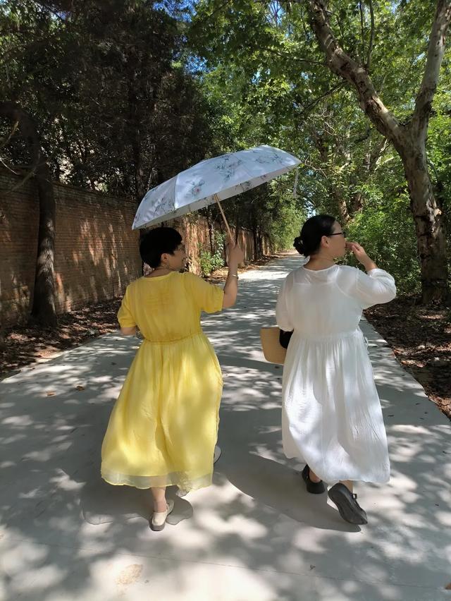 秋风起，栾花入梦来