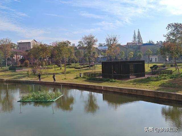 生物浮岛扮靓云梦水域 初冬亲水空间引客来