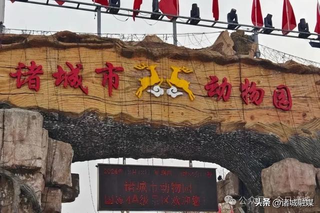 快来诸城,开启一场清凉狂欢之旅吧!