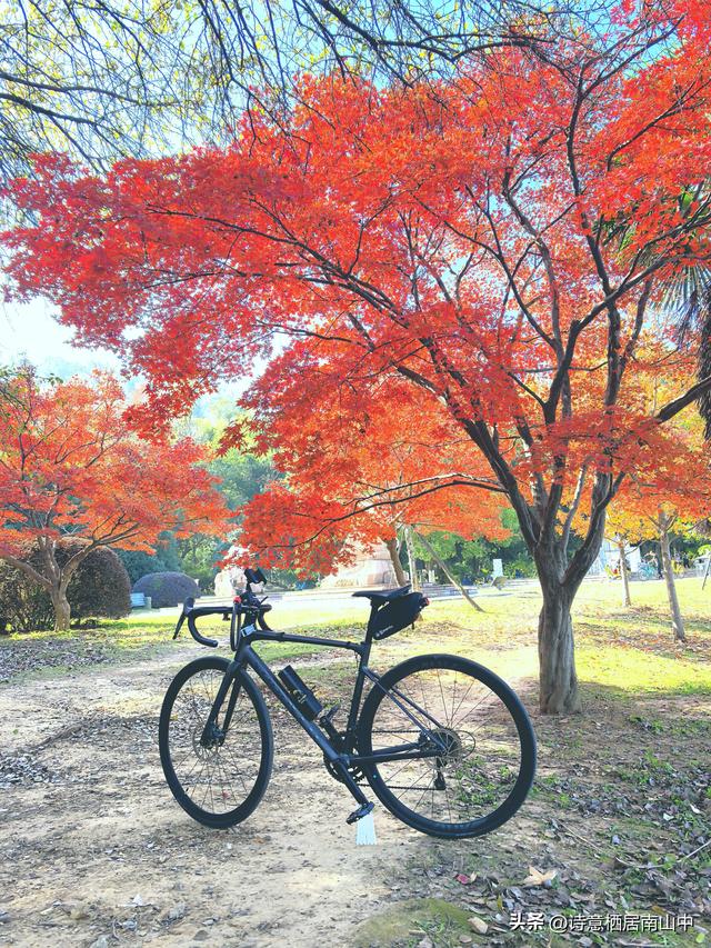 骑行听书：让快乐加倍，让风与墨香撞个满怀