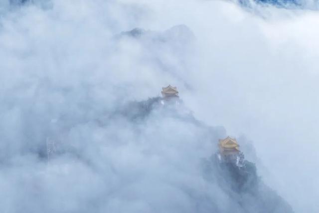 雨后清晨，老君山的云海也太！美！了！