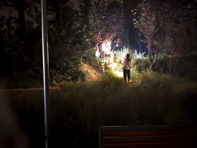 夜幕下的夏日狂欢！郑州树木园里成群结队摸“爬叉”