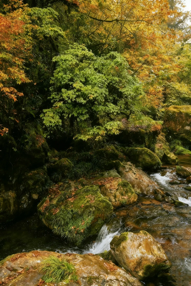 神图有了！在龙苍沟，出片还不是手拿把掐