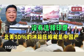 没有选择印度，北美30%的冰箱压缩机是中国产图片