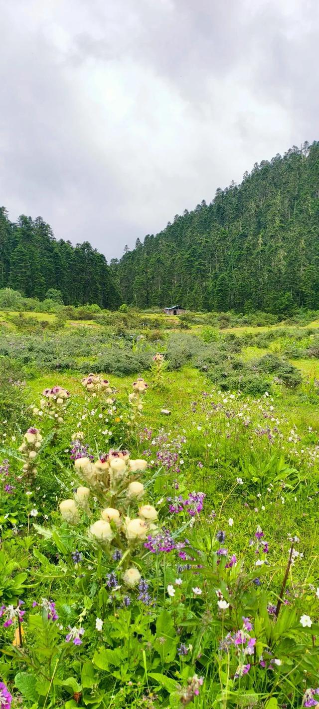翻越“浪浪山”后，在西藏发现了地图上未标注的……