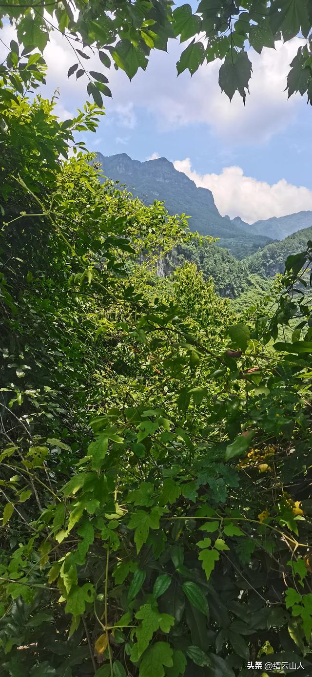 南川野游●山王坪（非景区）