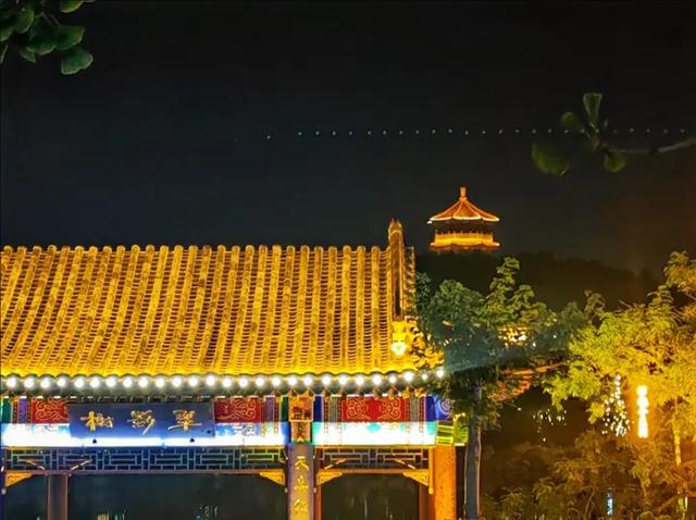虎山公园夜游渐火 光影交织引客来