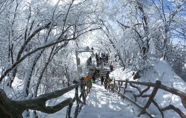 解锁汉中冬韵！跟这3条线路，赴一场冰雪之旅~