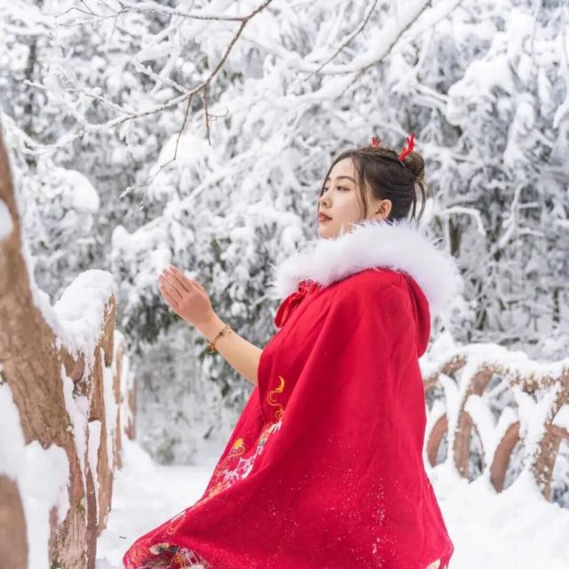 三场大戏+五大活动，宁强元旦狂欢倒计时！