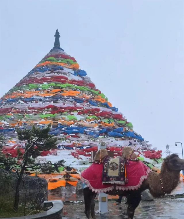 全国多地突然下雪！雪天出行安全指南→