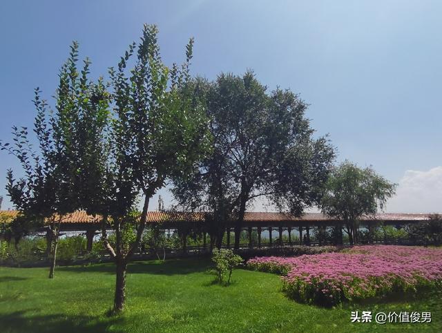 兰州兰山公园赏八宝花及游园记