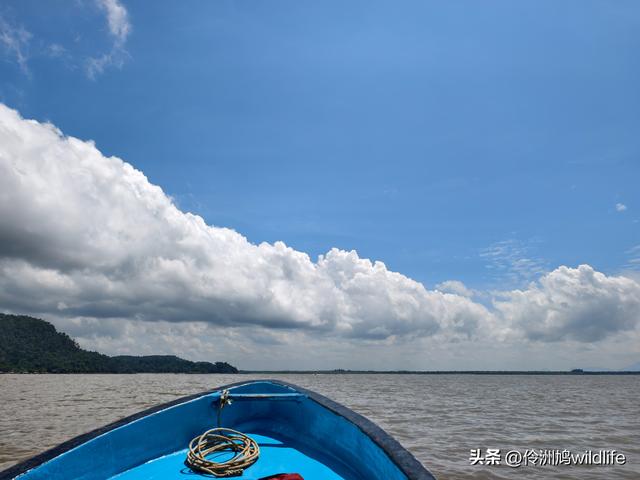 马来西亚(36)砂拉越州⑩峇哥国家公园夜间徒步体验