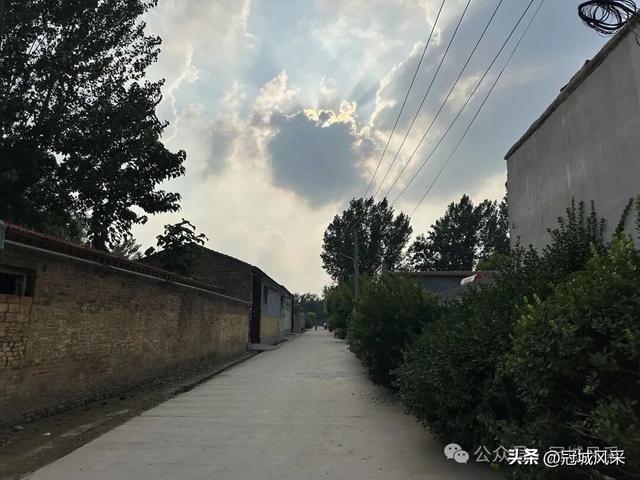 冠县乡韵·辛集镇崔刘八寨